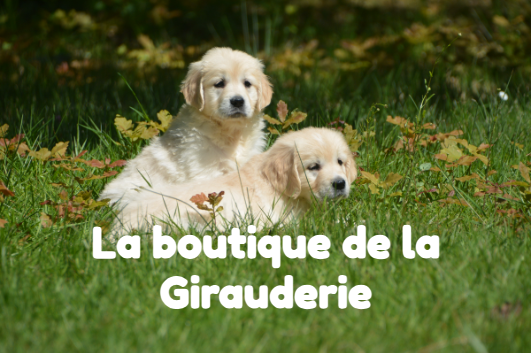 boutique girauderie